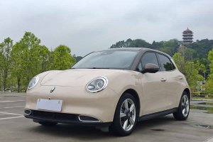 歐拉好貓 歐拉 400km標(biāo)準(zhǔn)續(xù)航 維納斯版