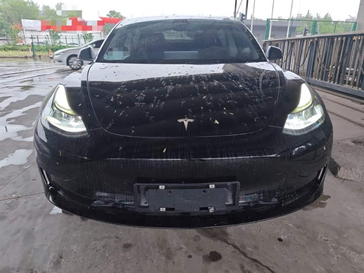 特斯拉 Model 3  2021款 改款 標(biāo)準(zhǔn)續(xù)航后驅(qū)升級(jí)版圖片