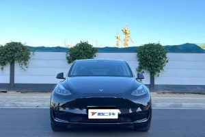 Model 3 特斯拉 改款 长续航后轮驱动版