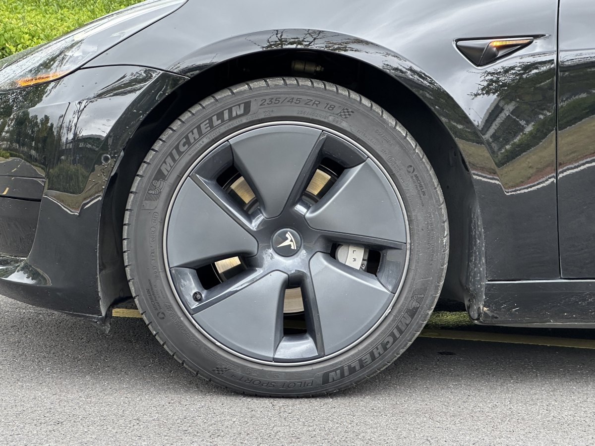 特斯拉 Model 3  2019款 標(biāo)準(zhǔn)續(xù)航后驅(qū)升級(jí)版圖片