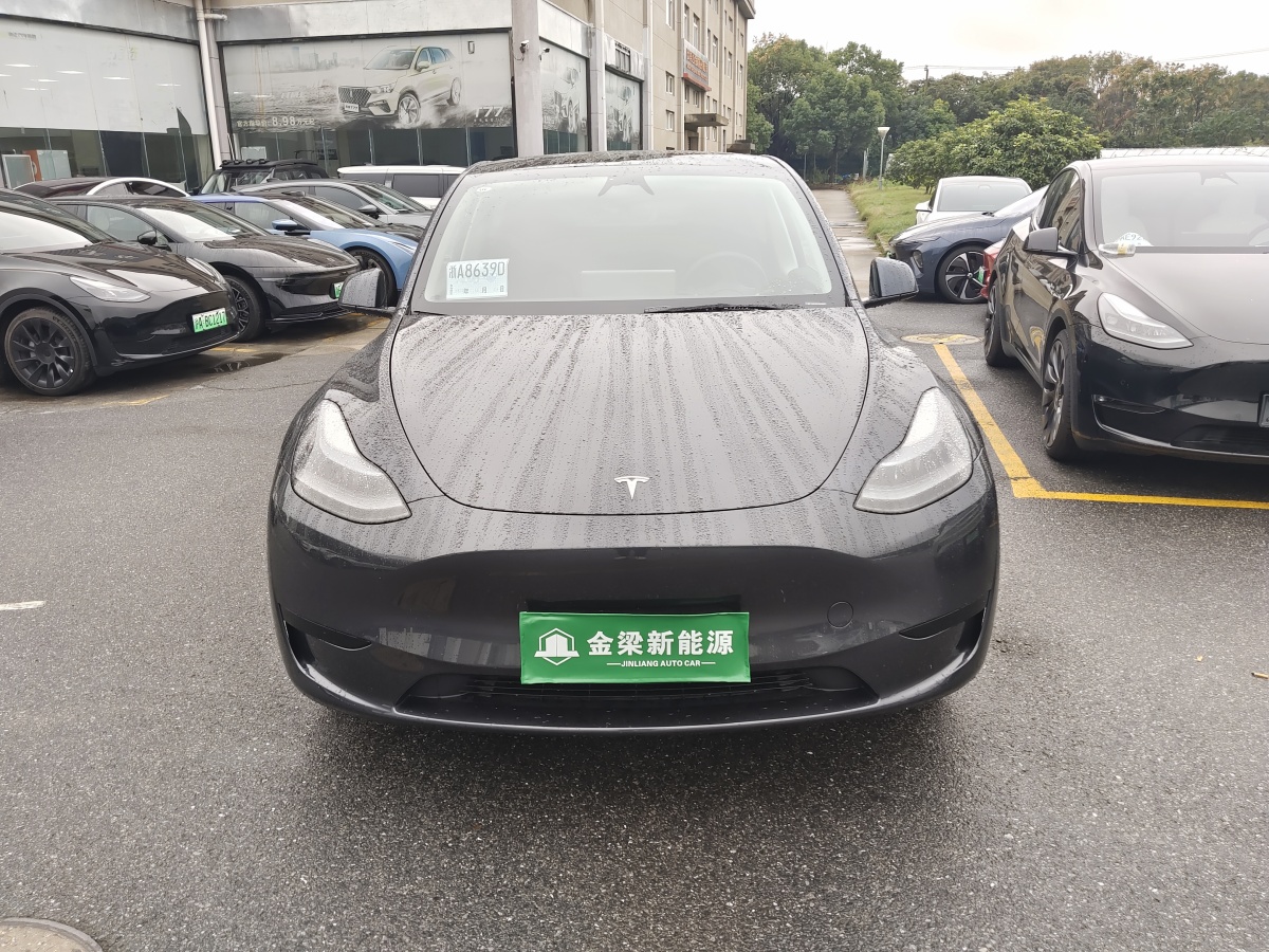 2024年10月特斯拉 Model Y  2020款 改款 長續(xù)航后輪驅(qū)動版