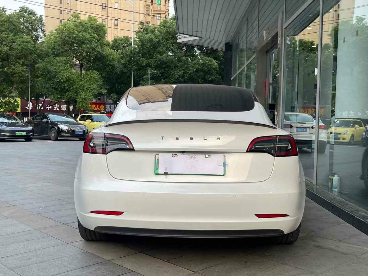 特斯拉 Model 3  2021款 標(biāo)準(zhǔn)續(xù)航后驅(qū)版圖片