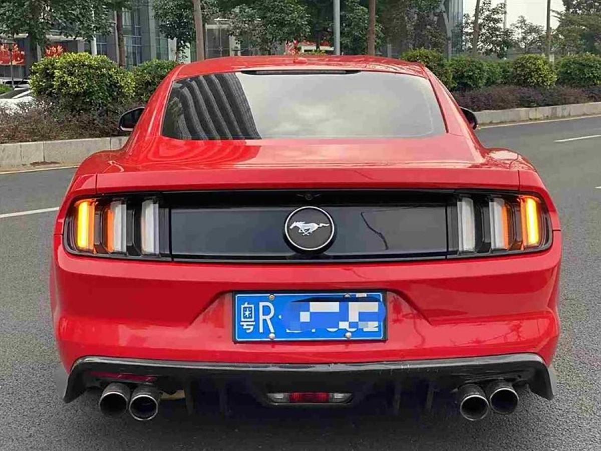 福特 Mustang  2015款 2.3T 性能版圖片