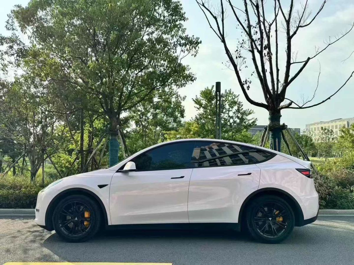 特斯拉 Model Y  2022款 Performance高性能全輪驅(qū)動(dòng)版圖片