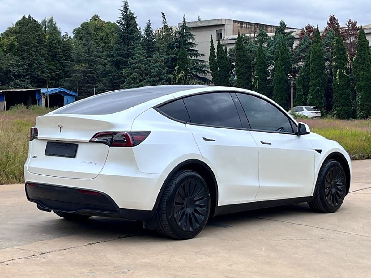 特斯拉 Model Y  2020款 改款 長(zhǎng)續(xù)航后輪驅(qū)動(dòng)版圖片