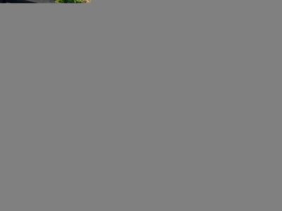 2015年1月 雪佛兰 科迈罗(进口) 3.6L RS限量版图片
