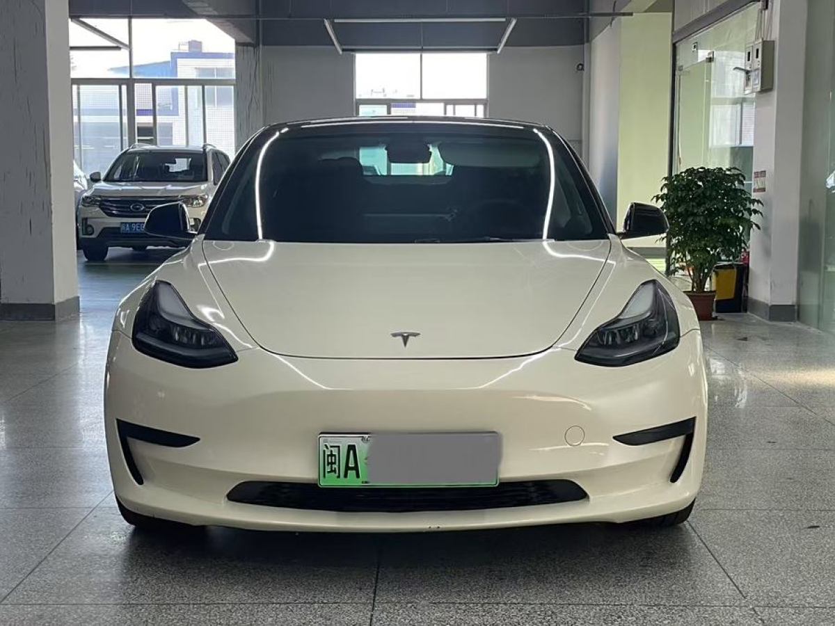 特斯拉 Model 3  2021款 改款 標(biāo)準(zhǔn)續(xù)航后驅(qū)升級(jí)版圖片