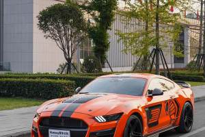 Mustang 福特 5.0L V8 GT