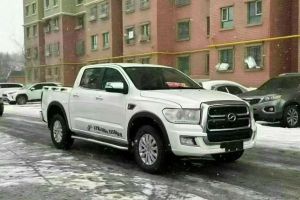 領(lǐng)主 中興 2.5T乘用版柴油兩驅(qū)自動(dòng)旗艦型標(biāo)雙