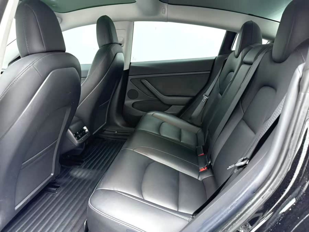 特斯拉 Model 3  2022款 后輪驅(qū)動(dòng)版圖片