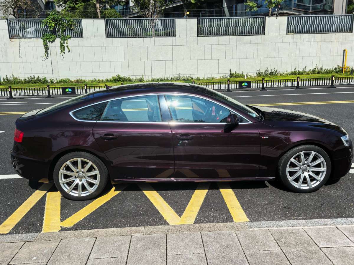 奧迪 奧迪A5  2013款 Sportback 40 TFSI圖片