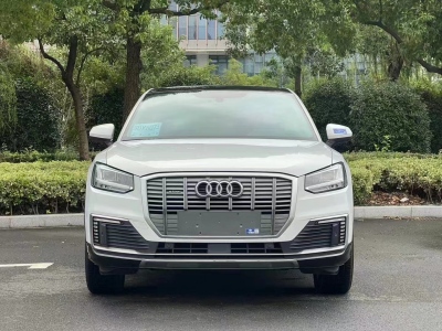 2021年3月 奧迪 Q2L e-tron e-tron 純電智酷型圖片