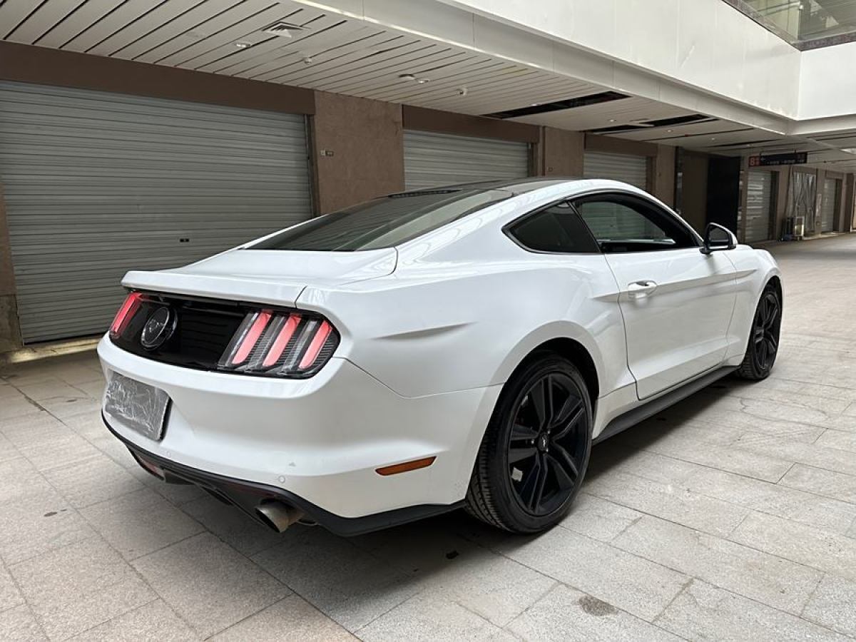 福特 Mustang  2015款 2.3T 性能版圖片