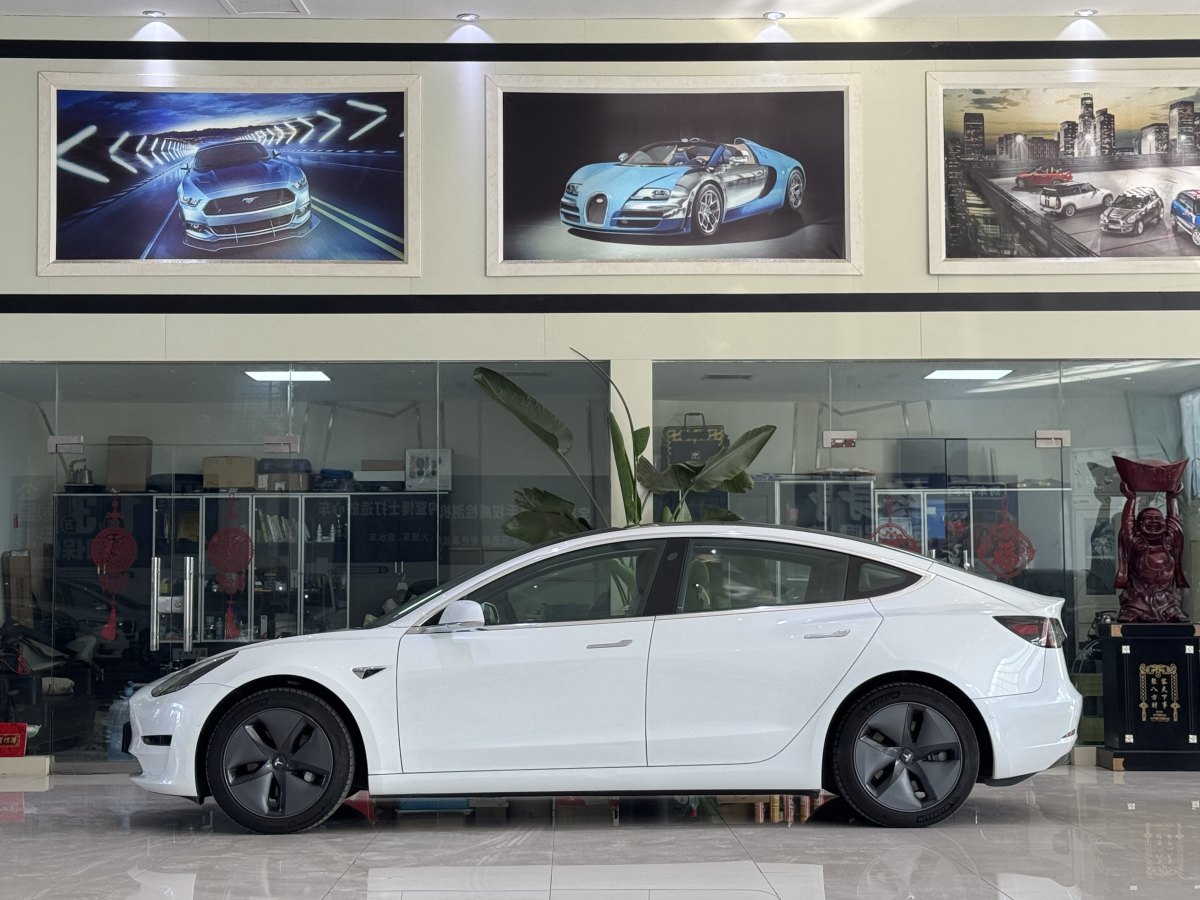 特斯拉 Model 3  2019款 標(biāo)準(zhǔn)續(xù)航后驅(qū)升級版圖片