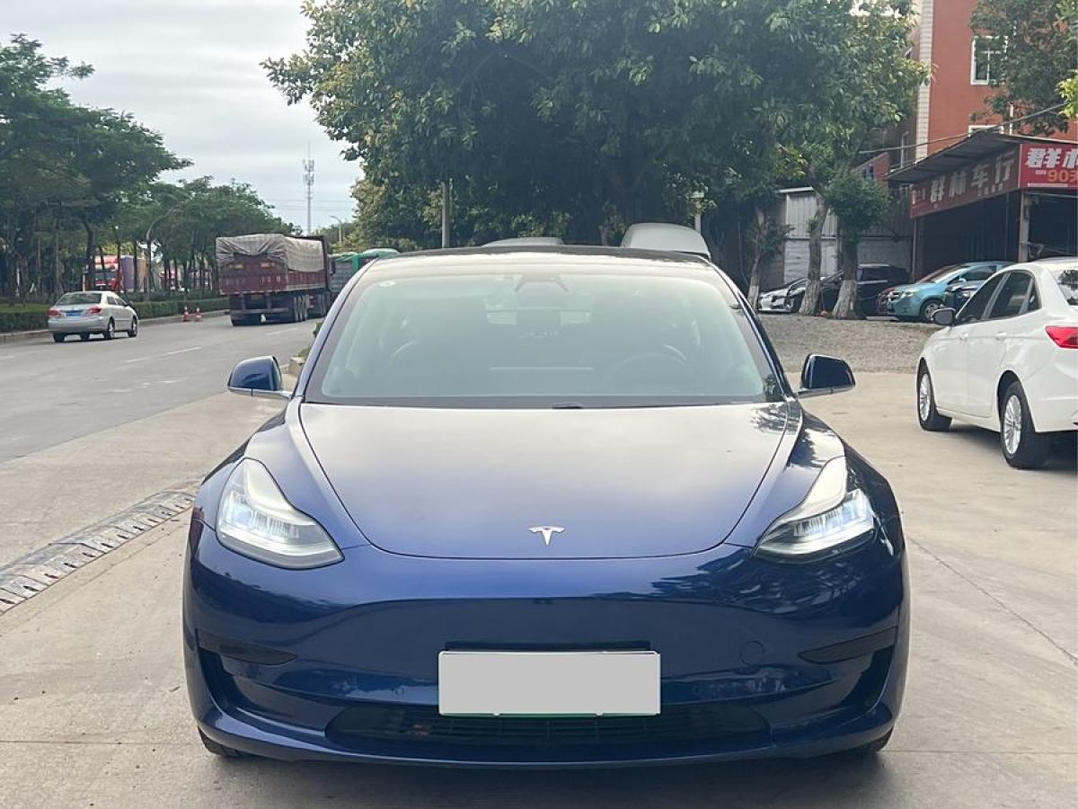 特斯拉 Model 3  2020款 改款 標(biāo)準(zhǔn)續(xù)航后驅(qū)升級(jí)版圖片