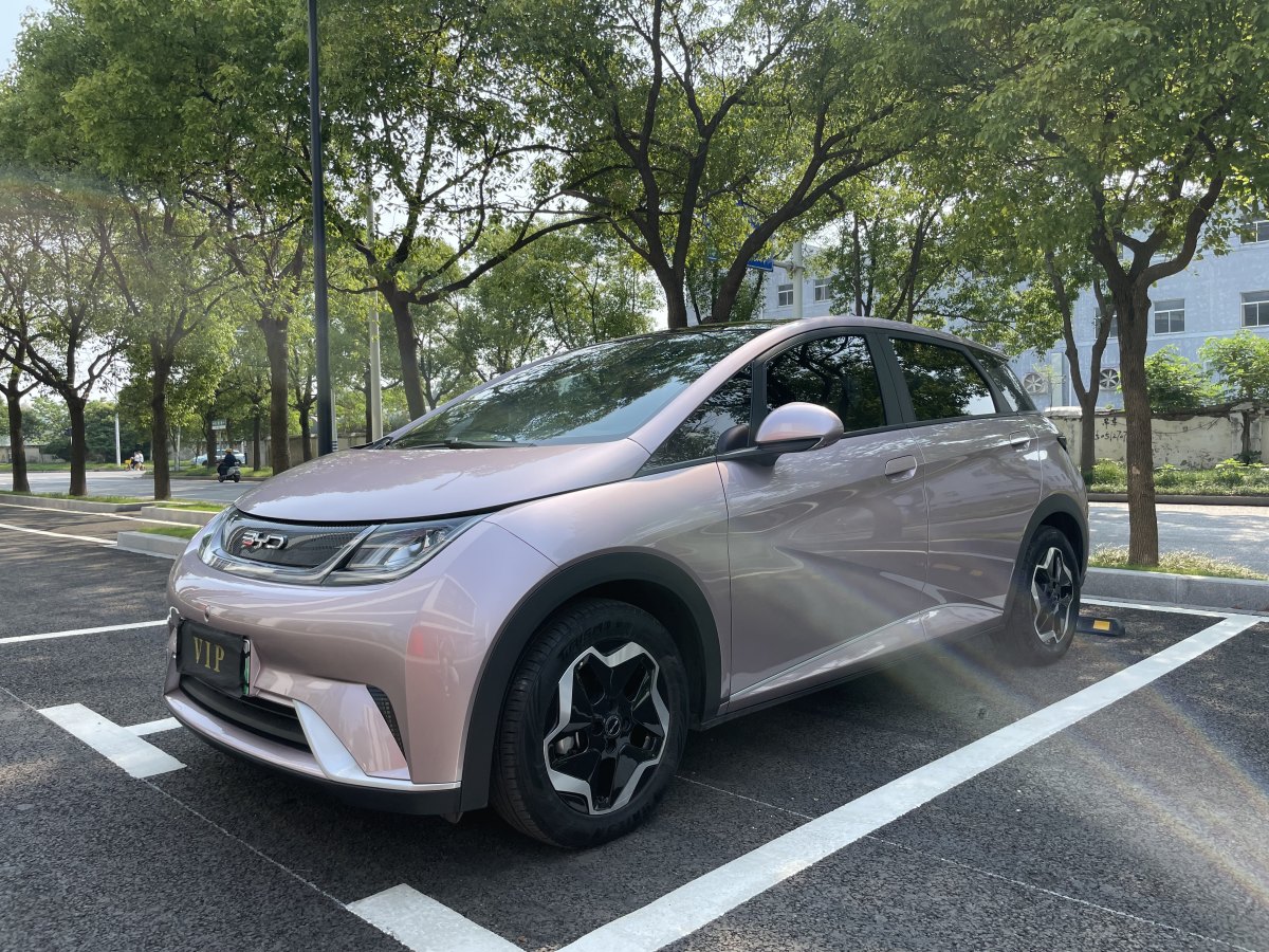 2022年11月比亞迪 海豚  2021款 405km 時(shí)尚版