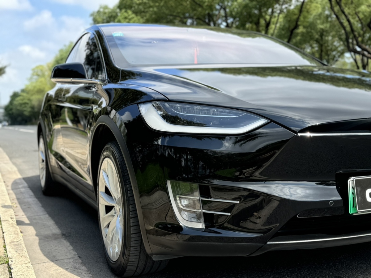 2019年7月特斯拉 Model X  2016款 Model X P100D Performance高性能版