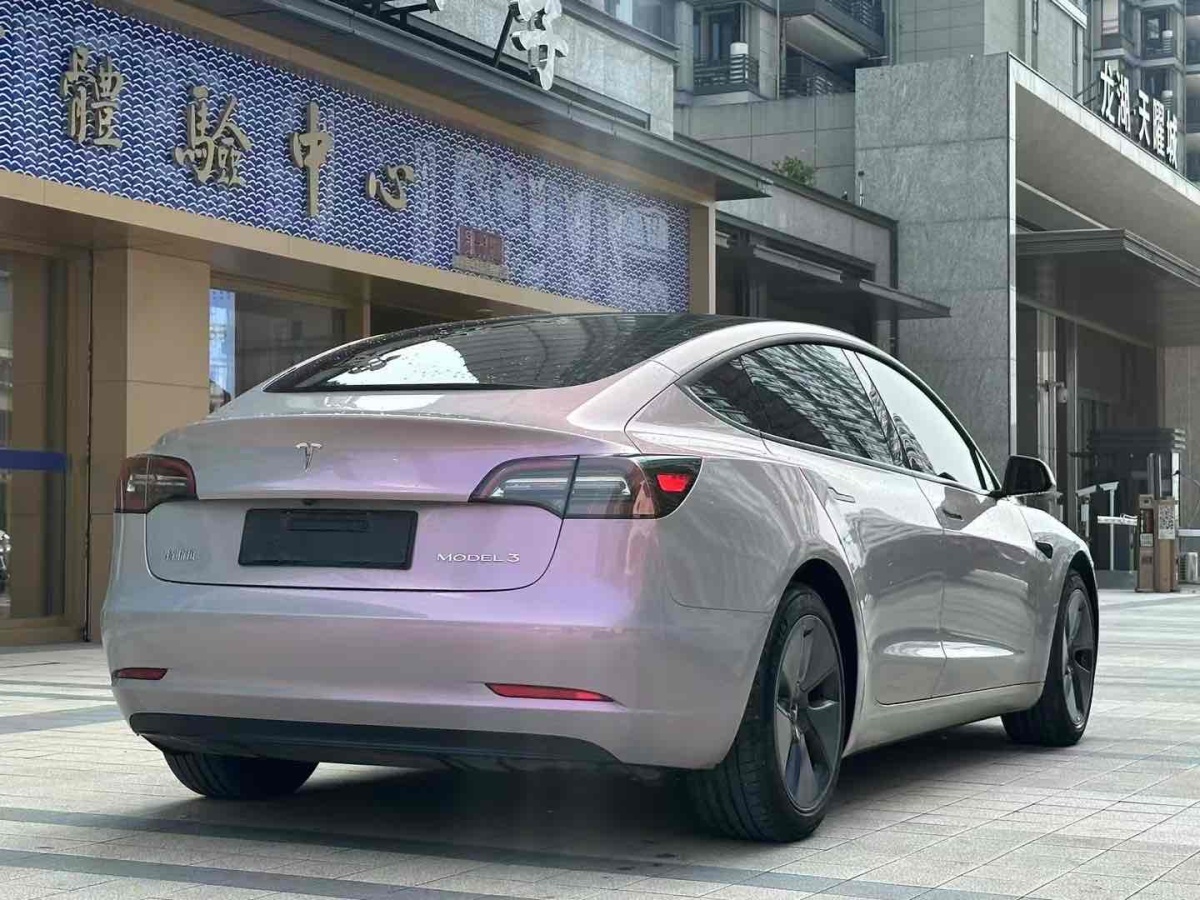 2021年6月特斯拉 Model 3  2021款 標(biāo)準(zhǔn)續(xù)航后驅(qū)升級版 3D6