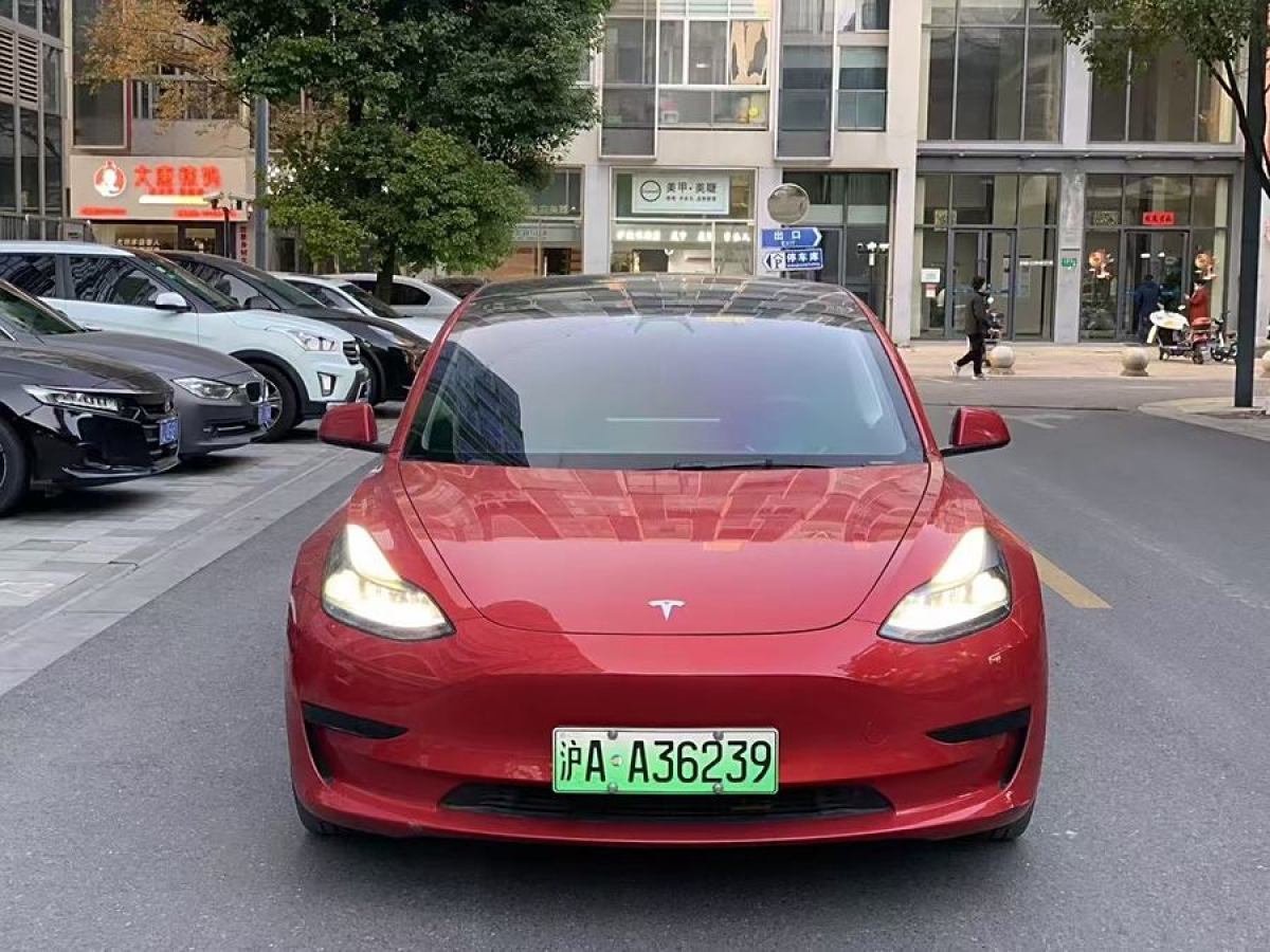 特斯拉 Model 3  2021款 改款 標(biāo)準(zhǔn)續(xù)航后驅(qū)升級(jí)版圖片