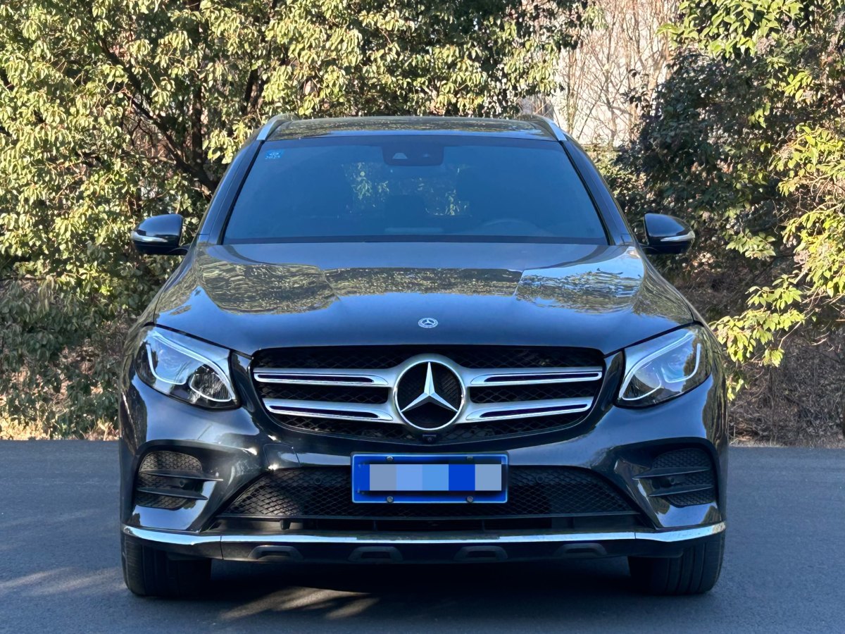 奔馳 奔馳GLC  2017款 GLC 260 4MATIC 豪華型圖片