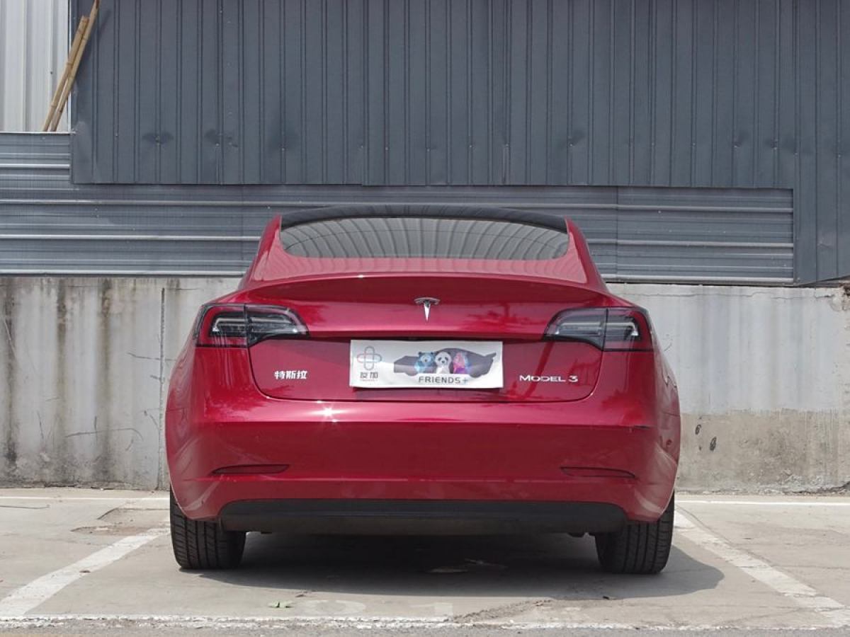 特斯拉 Model 3  2019款 標(biāo)準(zhǔn)續(xù)航后驅(qū)升級版圖片