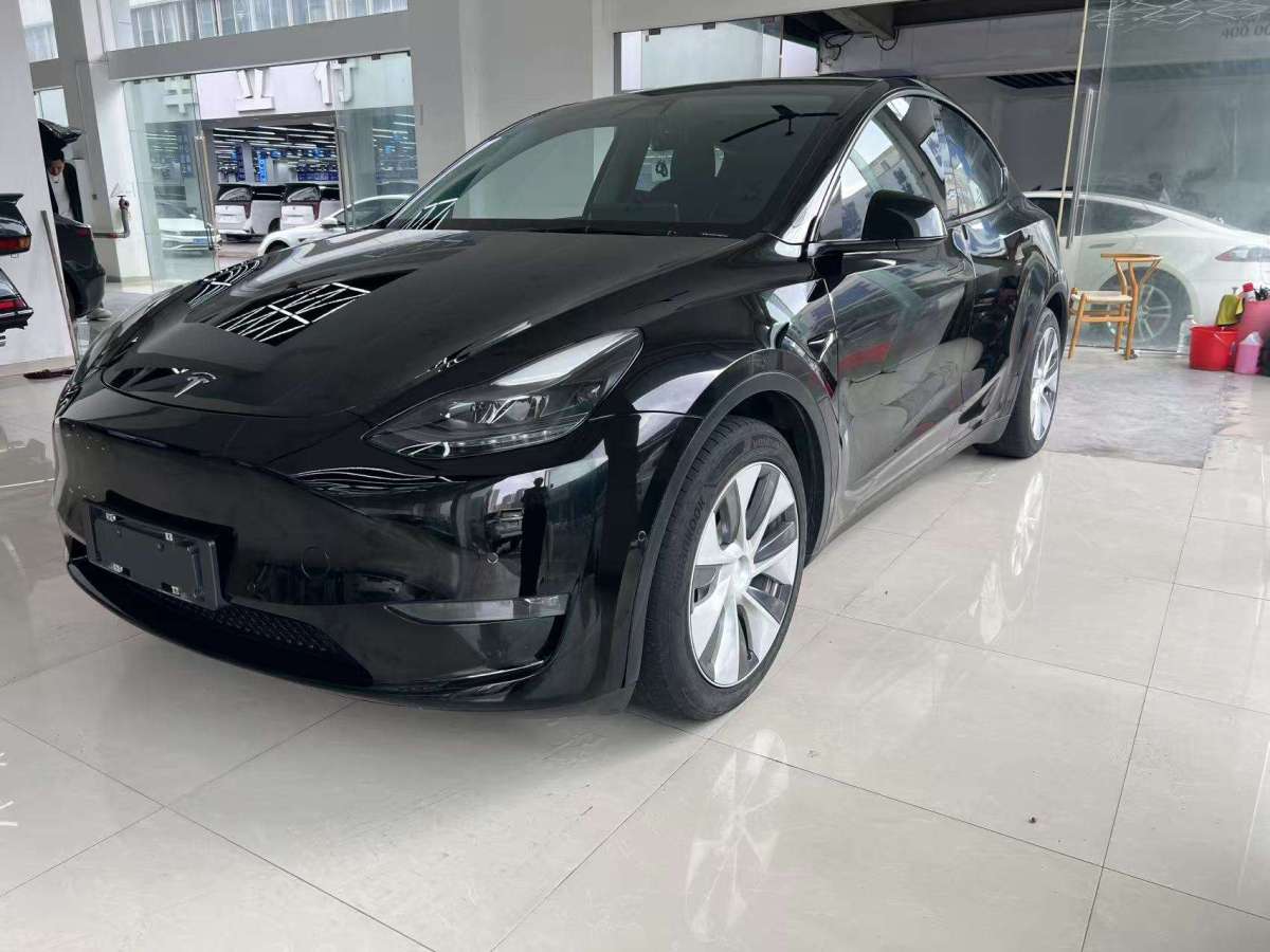 特斯拉 Model Y  2021款 標(biāo)準(zhǔn)續(xù)航后驅(qū)版圖片