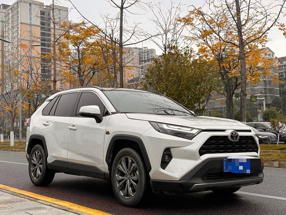 2024年1月豐田 RAV4榮放  2023款 2.0L CVT兩驅(qū)20周年鉑金紀(jì)念版