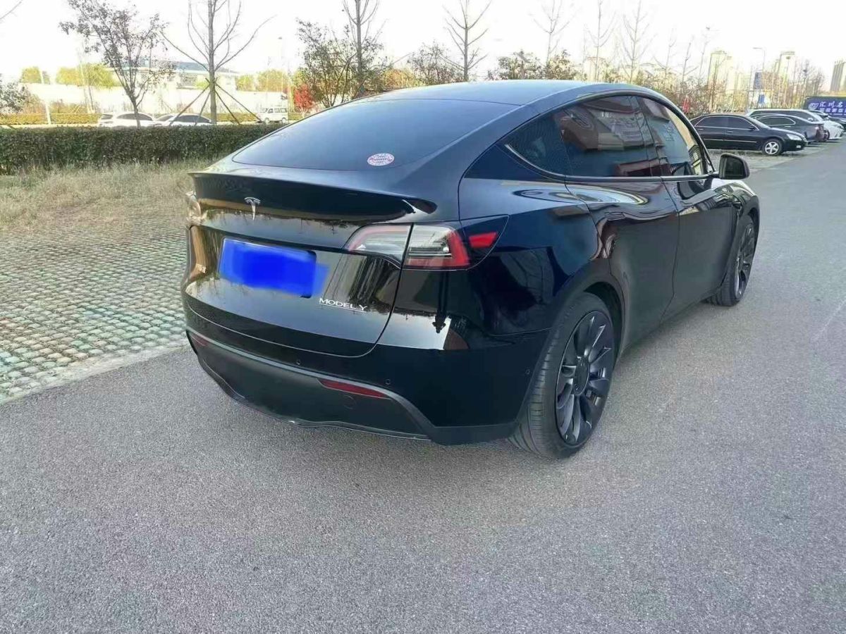 特斯拉 Model S  2023款 三電機(jī)全輪驅(qū)動(dòng) Plaid版圖片