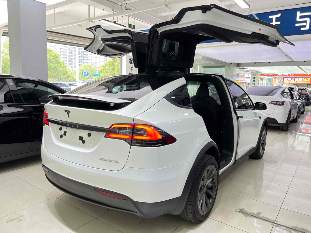 特斯拉 Model X  2019款 長(zhǎng)續(xù)航版圖片