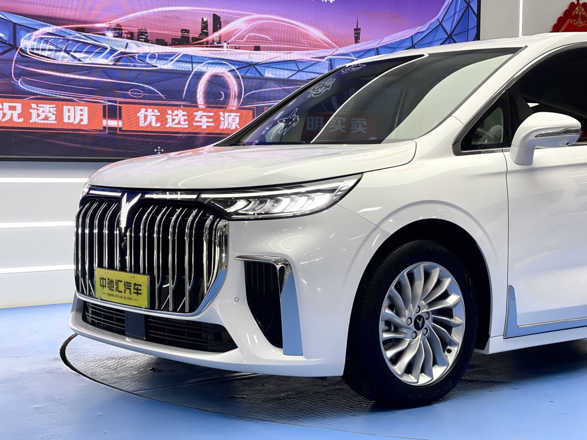 嵐圖 夢想家  2024款 PHEV 超長續(xù)航卓越版圖片