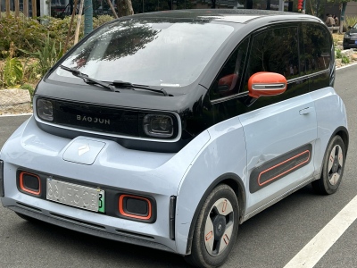 2021年10月 寶駿 寶駿KiWi EV 藝術家 三元鋰圖片