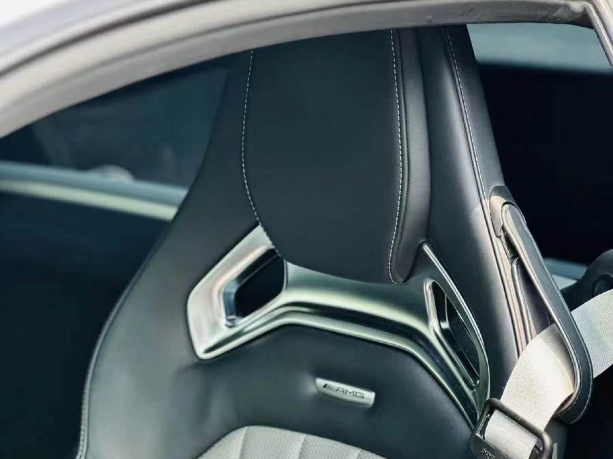 奔馳 奔馳AMG GT  2019款 AMG GT C圖片