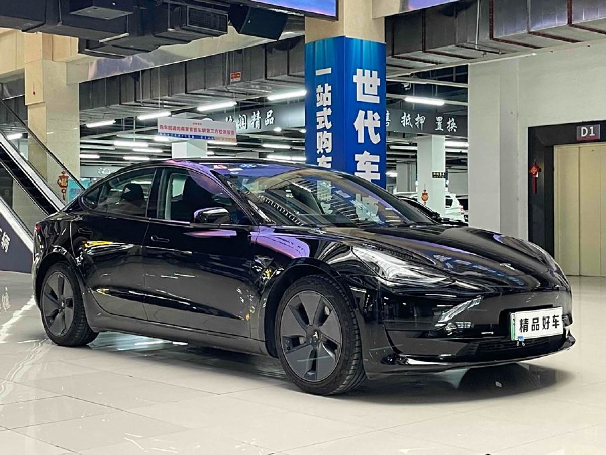 特斯拉 Model 3  2021款 標(biāo)準(zhǔn)續(xù)航后驅(qū)升級版 3D6圖片