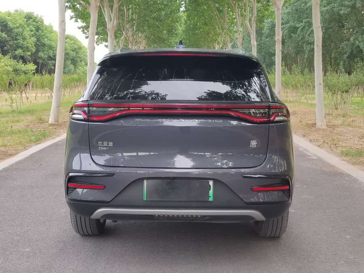 比亞迪 唐新能源  2021款 DM-i 112KM 尊貴型圖片