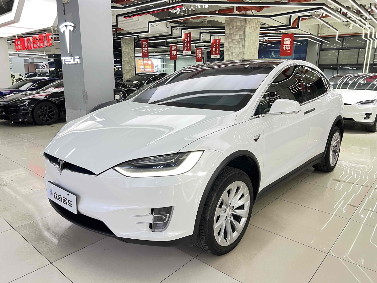 2020年9月特斯拉 Model X  2019款 长续航版