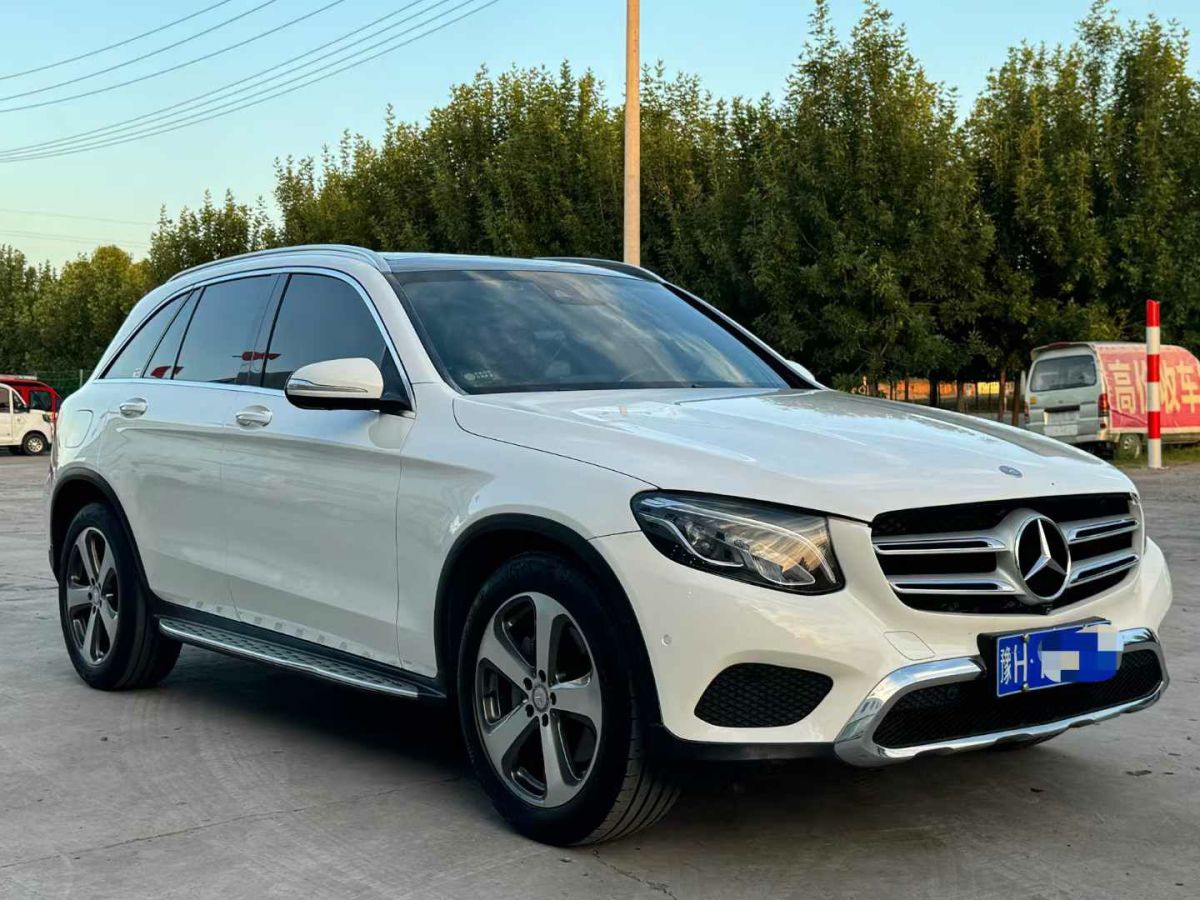 2016年1月奔馳 奔馳GLC  2016款 GLC 300 4MATIC 豪華型