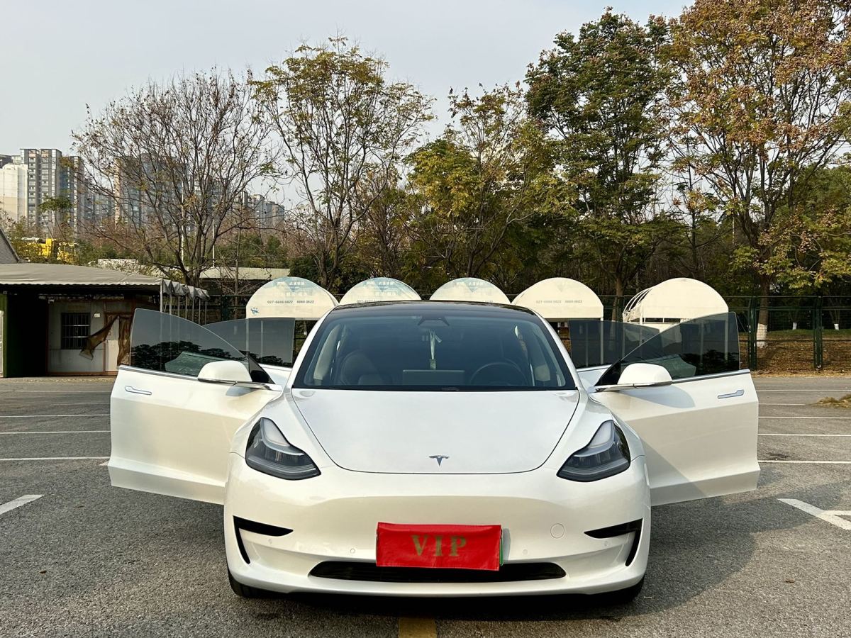 特斯拉 Model 3  2019款 標(biāo)準(zhǔn)續(xù)航后驅(qū)升級(jí)版圖片