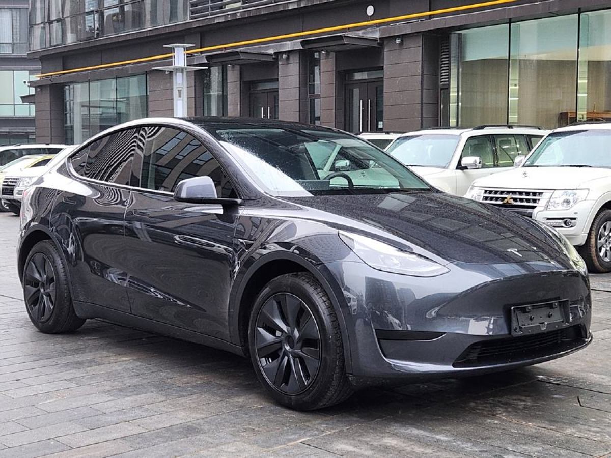 特斯拉 Model Y  2020款 改款 長(zhǎng)續(xù)航后輪驅(qū)動(dòng)版圖片