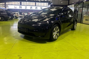 Model Y 特斯拉 改款 后輪驅(qū)動(dòng)版
