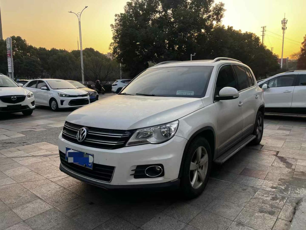 大眾 途歡  2012款 2.0 TDI 舒適版圖片