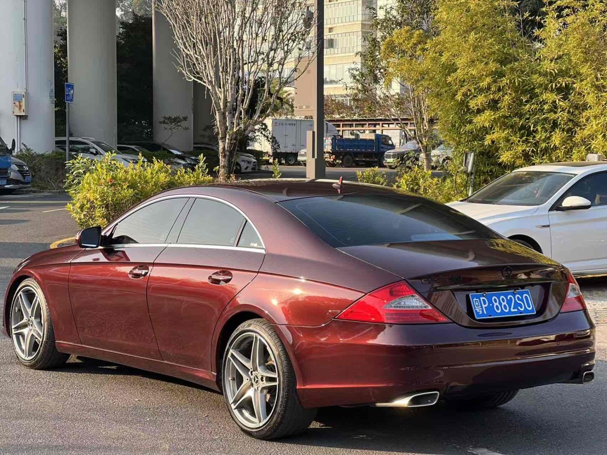 奔馳 奔馳CLS級  2009款 CLS 300圖片