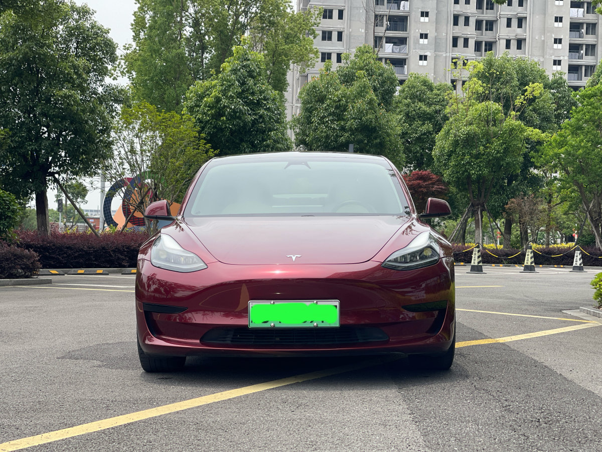 特斯拉 Model 3  2020款 改款 標準續(xù)航后驅升級版圖片