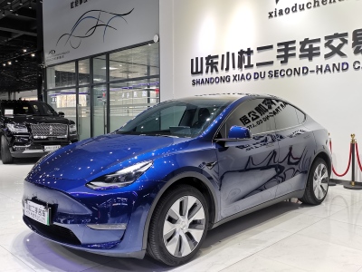 2021年6月 特斯拉 Model Y 長續(xù)航全輪驅(qū)動版 3D7圖片