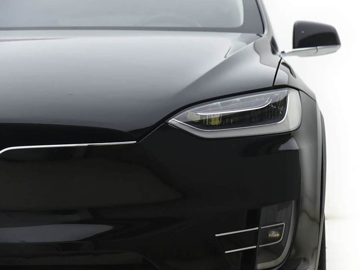 特斯拉 Model X  2016款 Model X 75D圖片