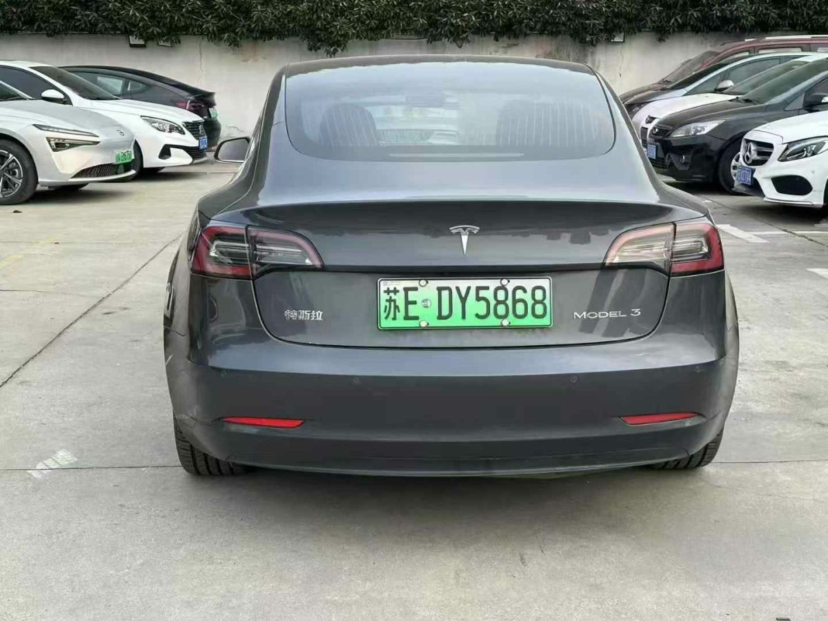 特斯拉 Model X  2020款 Performance 高性能版圖片