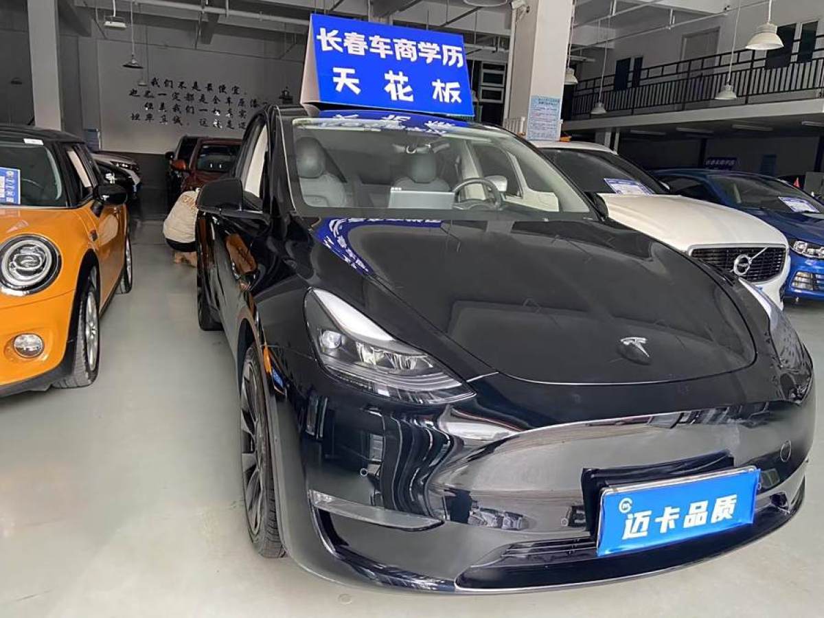 特斯拉 Model Y  2021款 改款二 長(zhǎng)續(xù)航全輪驅(qū)動(dòng)版圖片