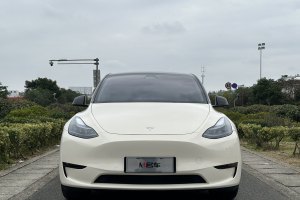 Model Y 特斯拉 改款 Performance高性能全轮驱动版