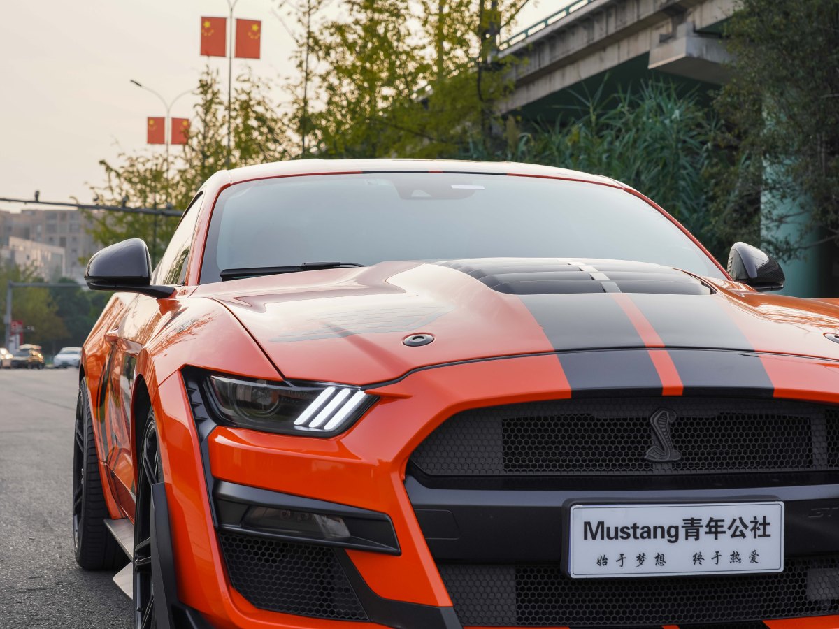 2018年6月福特 Mustang  2018款 5.0L V8 GT