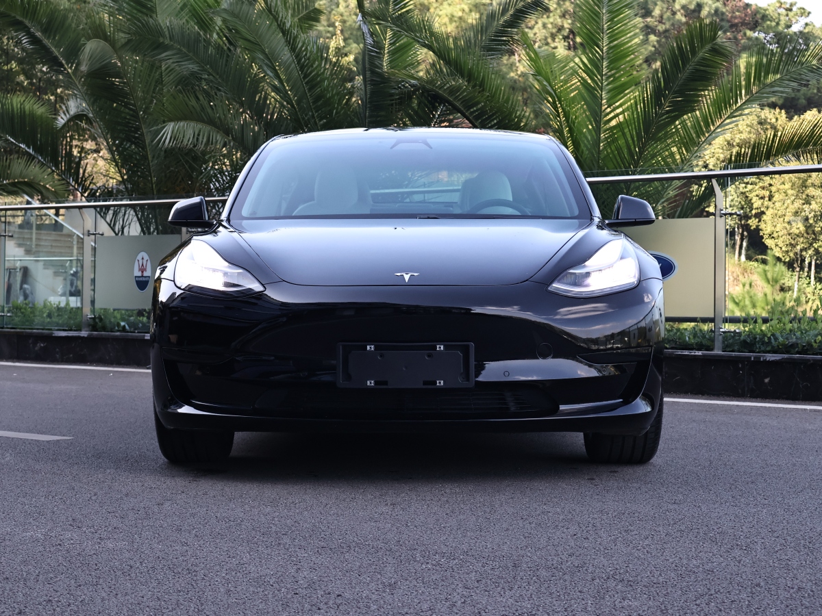 特斯拉 Model 3  2019款 標(biāo)準(zhǔn)續(xù)航后驅(qū)升級版圖片