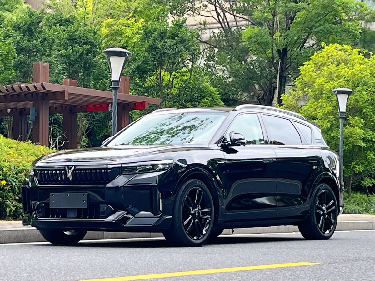 嵐圖 嵐圖FREE  2024款 超長(zhǎng)續(xù)航智駕版圖片